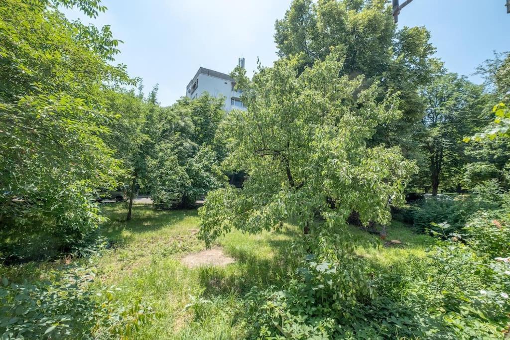 Top Location, Brand New 3 Bdrm Apt & Free Parking Sofya Dış mekan fotoğraf